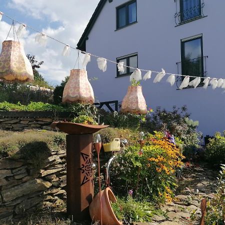 Im Erzgebirge Wandern, Fahrrad Fahren Oder Entspannen Ehrenfriedersdorf Buitenkant foto
