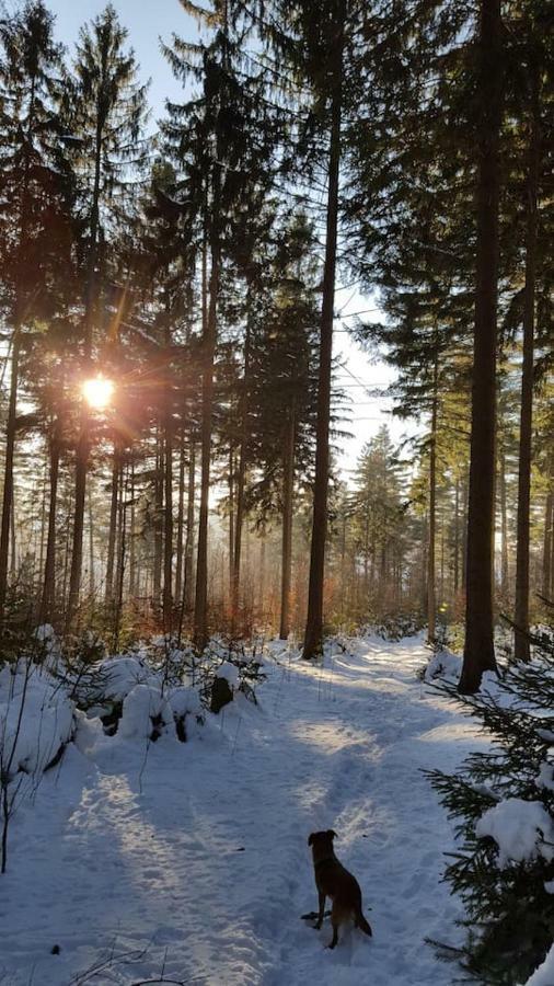 Im Erzgebirge Wandern, Fahrrad Fahren Oder Entspannen Ehrenfriedersdorf Buitenkant foto