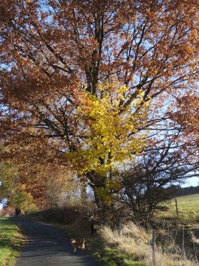 Im Erzgebirge Wandern, Fahrrad Fahren Oder Entspannen Ehrenfriedersdorf Buitenkant foto